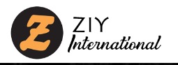 ZIY International